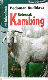 Beternak Kambing