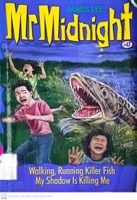 Mr.Midnight
